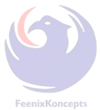 Feenix Koncepts